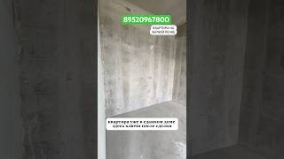 Черная речка #недвижимостьспб #новостройкиспб #санктпетербург