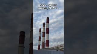 The Legend of Vasilievsky Saint Petersburg 2026. Легенда Васильевского Санкт-Петербург 2026 #shorts