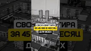 Квартиры для всех за 45000 ₽ в месяц! Приморский район Санкт-Петербурга 