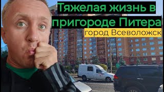 Дешевые квартиры в пригороде Санкт-Петербурга. Город Всеволожск. Покупать ли такое жилье?