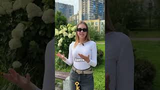 Самые продаваемые ЖК Петербурга. Часть 3