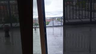 Та самая элитная квартира на Петроградке #недвижимость  #санктпетербург