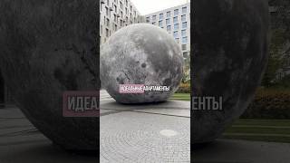 Те самые апартаменты в СПб #недвижимость #санктпетербург