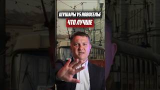 Шушары vs Новоселье  Что лучше | Новостройки СПб
