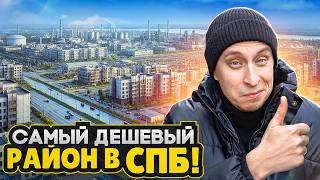 Шушары 2026: Лучшее из худшего? / Пробки и Самые дешевые квартиры в СПБ - Большой обзор