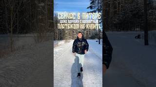 Квартира в Санкт-Петербурге каждому!