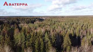 Купите видовой участок с соснами для строительства загородного дома на берегу реки Гладышевка