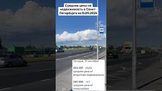 Средние цены на недвижимость в Питере на 11.09.2024 #юристпонедвижимости #квартира #квартирыспб
