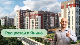 ЖК Расцветай в Янино. Всеволожский район. Недвижимость Санкт-Петербурга