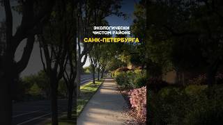 Сколько стоит переехать в свою квартиру в Санкт-Петербурге?