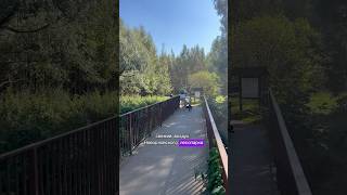 Локация Качество Цена Оптимальное сочетание в Приморском районе #новостройкиспб #жкбиониказаповедная