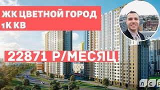 ЖК Цветной город ЛСР Красногвардейский район Санкт Петербурга Обзор 2020