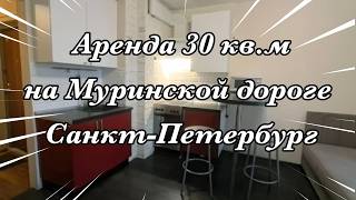 Аренда квартиры на Муринской д.64 Санкт-Петербург