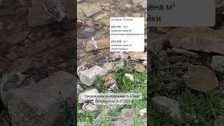 Средние цены на недвижимость в Санкт-Петербурге на 10.07.2024 #юристпонедвижимости #квартирыспб