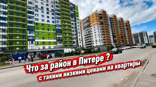 Это что за район с такими низкими ценами на квартиры в Санкт Петербурге ?