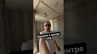 Однушка 47 квадратов в самом центре Санкт-Петербурга