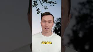Чайки #shorts #top #lol #юмор #приколы #риэлтор #недвижимость #санктпетербург